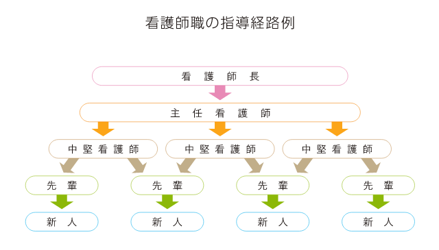 看護師職の指導経路例