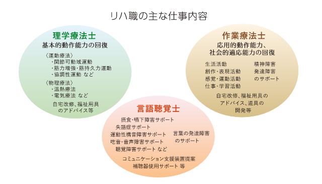 リハ職の主な仕事内容